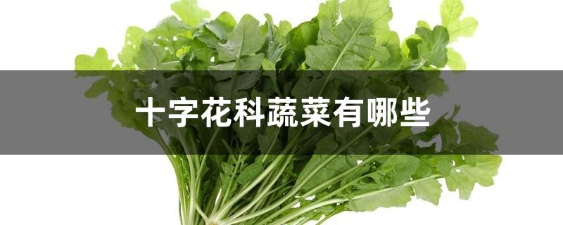 十字花科蔬菜与甲状腺结节(甲状腺为什么不能吃十字花科蔬菜有哪些)