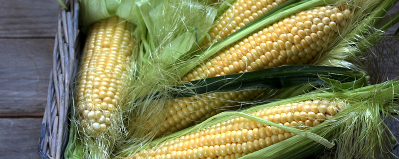 爆米花玉米可以种吗,爆米花玉米种子什么地方可以种植