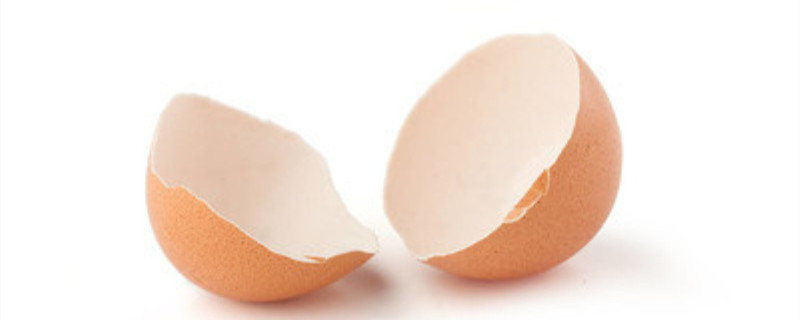 煮熟的蛋壳可以当肥料放进花盆吗(蛋壳可以当肥料放进花盆吗生熟蛋壳都可以吗?)