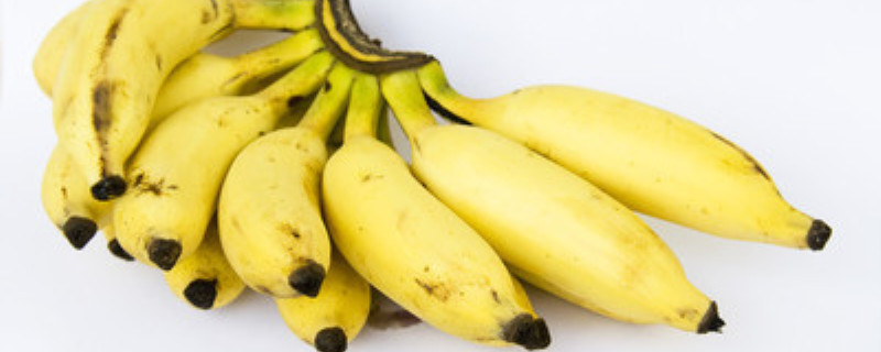 香蕉皮发酵多久能浇花加多少水(香蕉皮发酵浇什么花好)