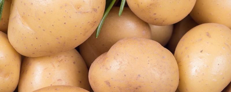土豆适合什么土壤,土豆适合生长在什么土壤里?