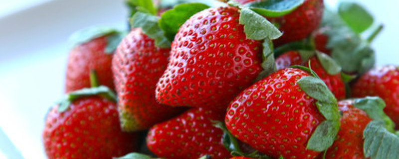草莓打膨大剂能吃吗(打了膨胀剂的草莓能吃吗)