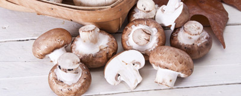家庭蘑菇菌包种植方法(买来的蘑菇菌包自己怎么培养)