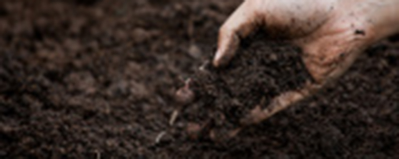 颗粒土是什么土(养花用的颗粒土是什么土)