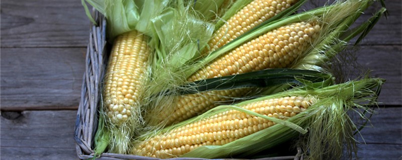 玉米的结构示意图,玉米的结构包括哪几部分?