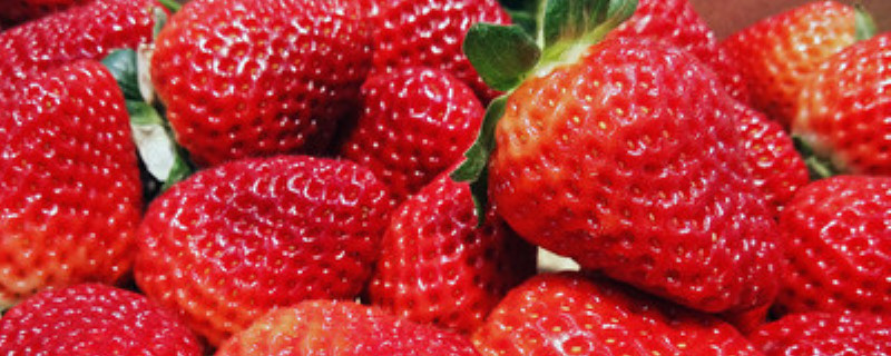 12月的草莓能吃吗(十一月份草莓能吃吗)
