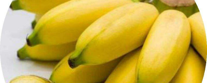 苹果香蕉是什么季节的水果(香蕉是什么季节的水果?)