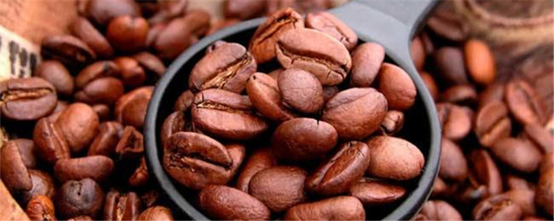 咖啡豆是什么植物的种子(咖啡豆是什么植物)
