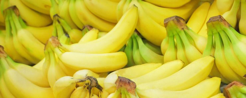 海南香蕉几月份成熟(海南香蕉什么时候成熟季节)