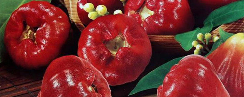 和青椒一样的水果叫什么水果(像青椒一样的外形是什么水果)