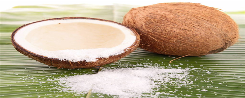 椰子有几个品种(真椰子和假椰子的区别)