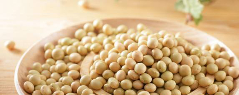 大豆种子萌发过程记录,大豆种子萌发过程中有机物含量的变化