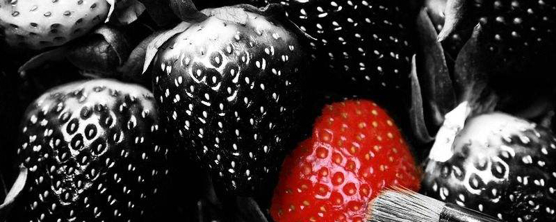 黑草莓介绍(黑草莓品种)