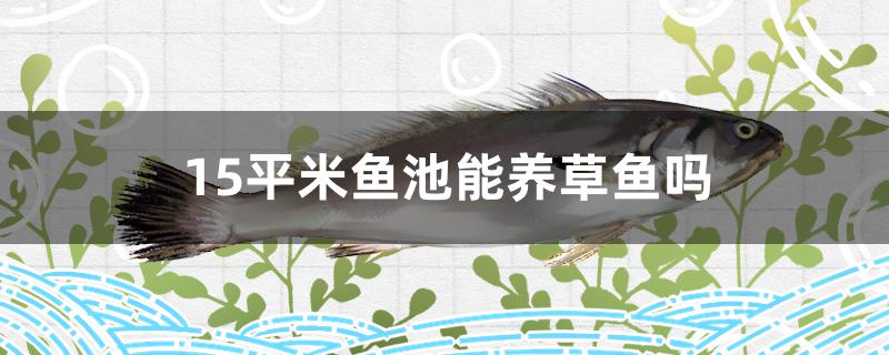 5平方米鱼池养多少条草鱼(20平米鱼池养草鱼密度)