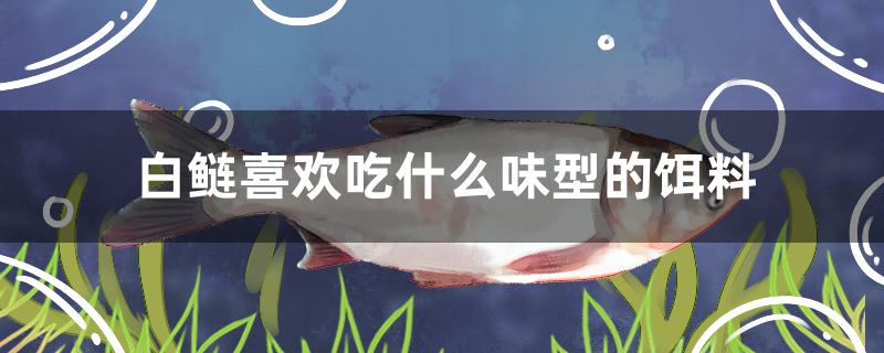 白鲢鱼喜欢吃什么味型的饵料(白鲢鱼爱吃什么饵料)