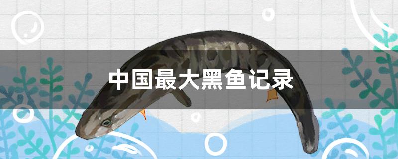 中国黑鱼最大的记录是多少(世界上最大的黑鱼有多少斤)
