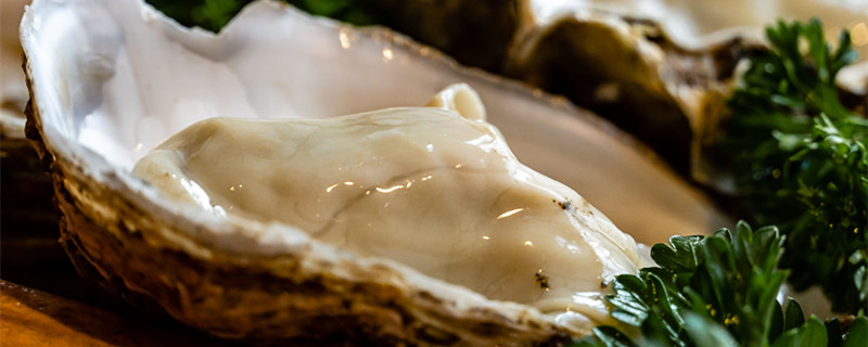 乳山牡蛎多少钱一斤(牡蛎多少钱一斤市场价)