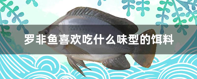 罗非鱼喜欢吃什么味型的饵料(罗非鱼喜欢吃什么味型的饵料图片)