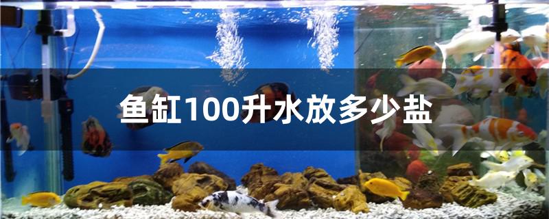鱼缸100升水放多少盐杀菌(鱼缸100升水放多少盐)