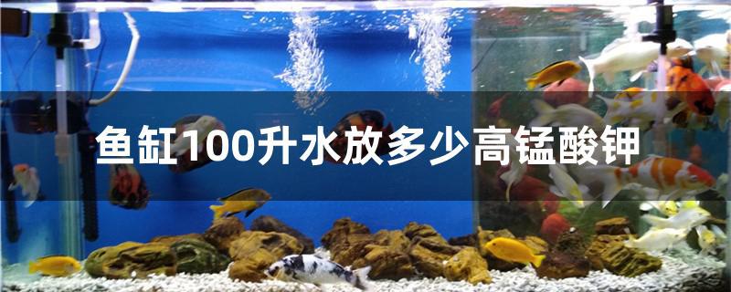 鱼缸100升水放多少高锰酸钾溶液,鱼缸100升水放多少高锰酸钾片