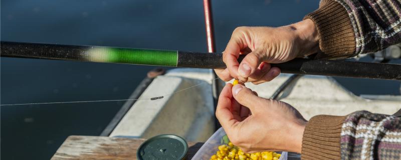 钓鱼用什么饵料鱼容易上钩,用什么钓鱼最容易钓到鱼