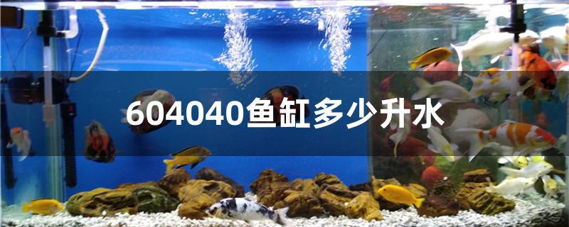 604530的鱼缸多少升水(6040的鱼缸多少升水)